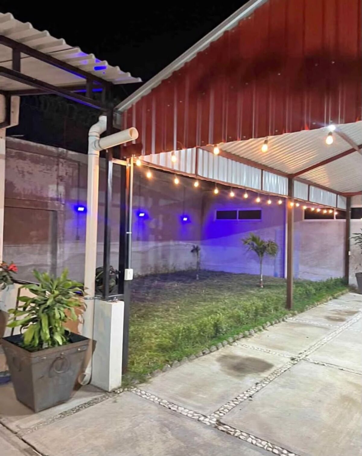 Jardín del salón iluminado de noche